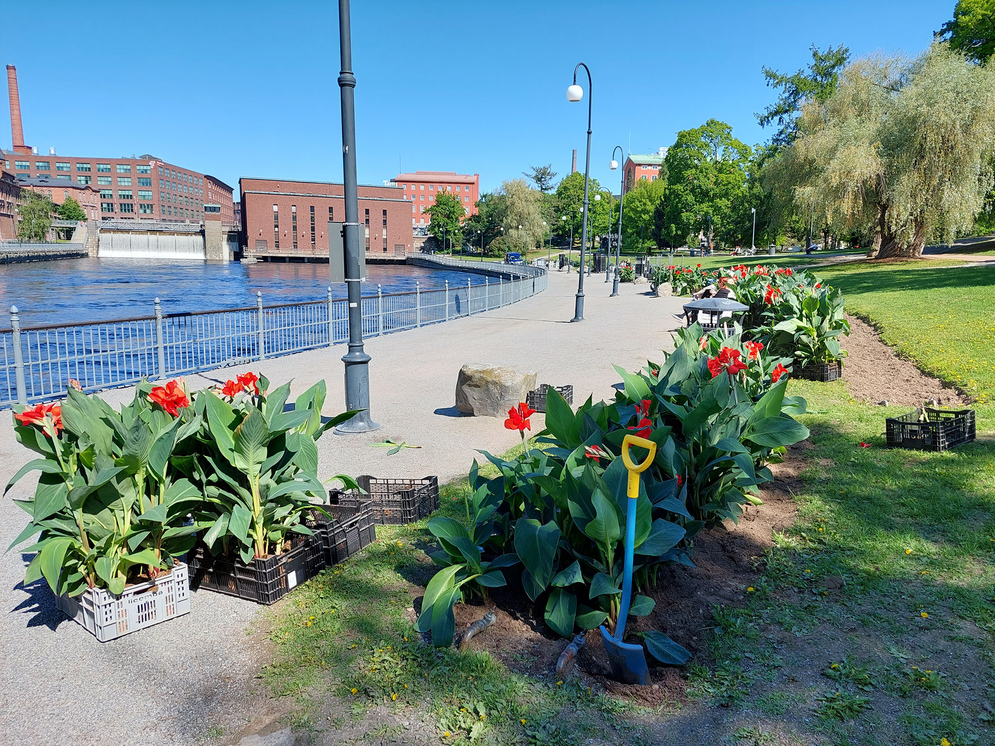 Kaupunki kaunistuu kesäkukilla juhannukseen mennessä [Tampereen kaupunki -  Ajankohtaista]