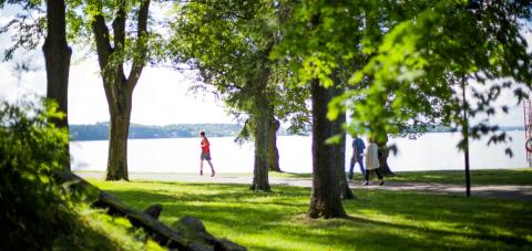 Ihmisiä lenkkeilemässä Arboretumissa järven rannalla kesäisenä ja aurinkoisena päivänä.