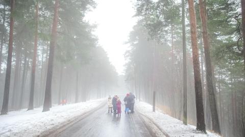A family walking in Pyynikki in winter in a foggy weather.