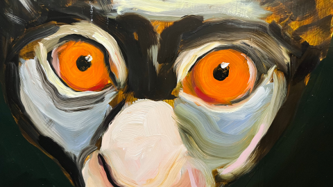 Yksityiskohta Ilona Niemen maalauksesta Kolme sulotarta: maki, jolla on oranssit silmät.