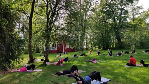 We do yoga on the park lawn.