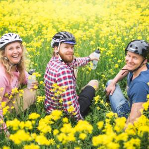 People wearing bicycle helmets in a field of yellow flowers.