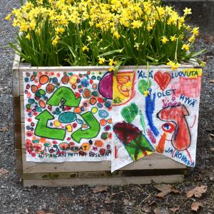 Narsisseja istutuslaatikossa, jonka kyljessä lasten tekemiä julisteita.