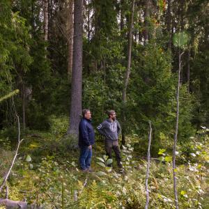 In a dense forest, two men are standing and looking at the landscape.