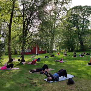 We do yoga on the park lawn.