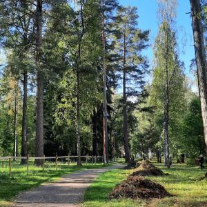 Etualalla niittyä, jossa ruohokasoja, taustalla metsää.