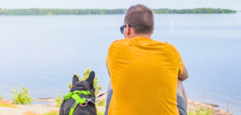 A man sits by the lake with his back to the camera and looks at the open lake landscape. A small dog is sitting next to him.