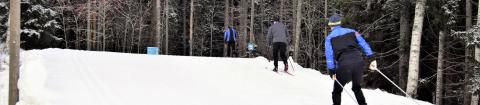 Skiers in the woods.
