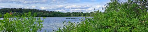 A view to Iidesjärvi lake on summer day.