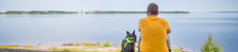 Mies ja hänen koiransa istuvat selin kameraan katsellen järvelle.