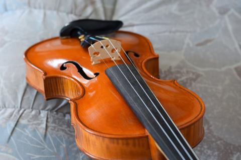 Puinen viulu, josta on näkyvissä sen runko.